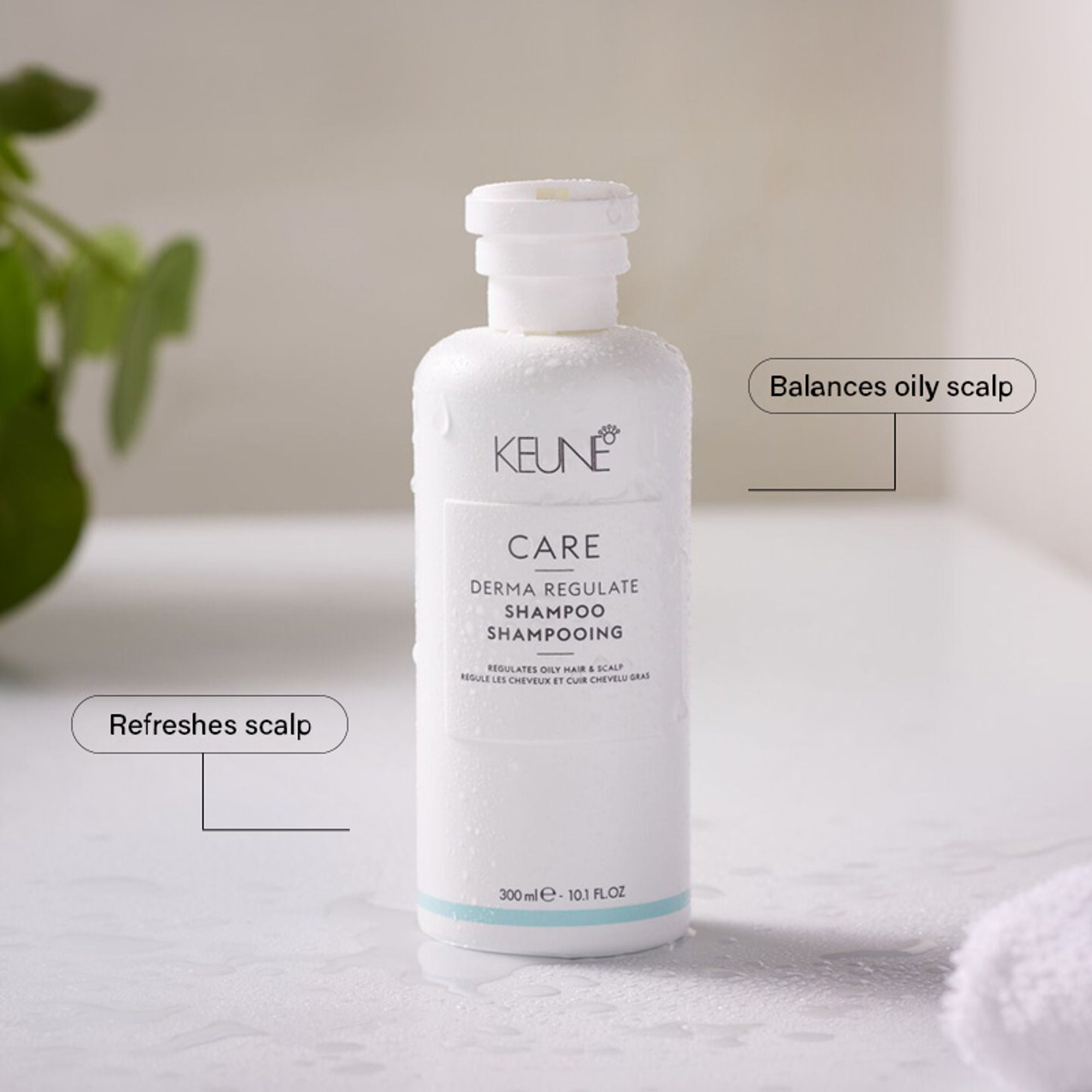 Keune Haircosmetics Care Derma Regulate Shampoo | Grocsy