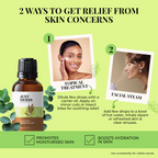 Just Herbs Eucalyptus Essential Oil | Grocsy