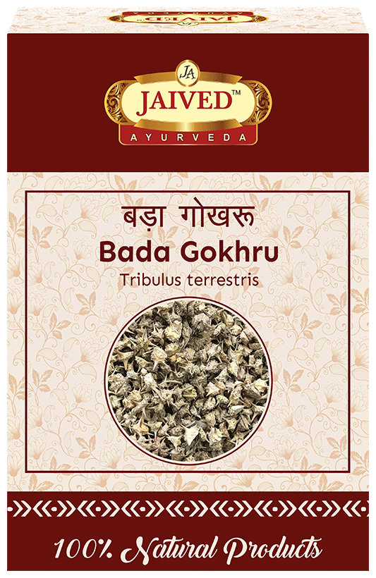 Jaived Ayurveda Bada Gokhru | Grocsy