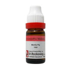Dr. Reckeweg Mentha Pip Dilution | Grocsy