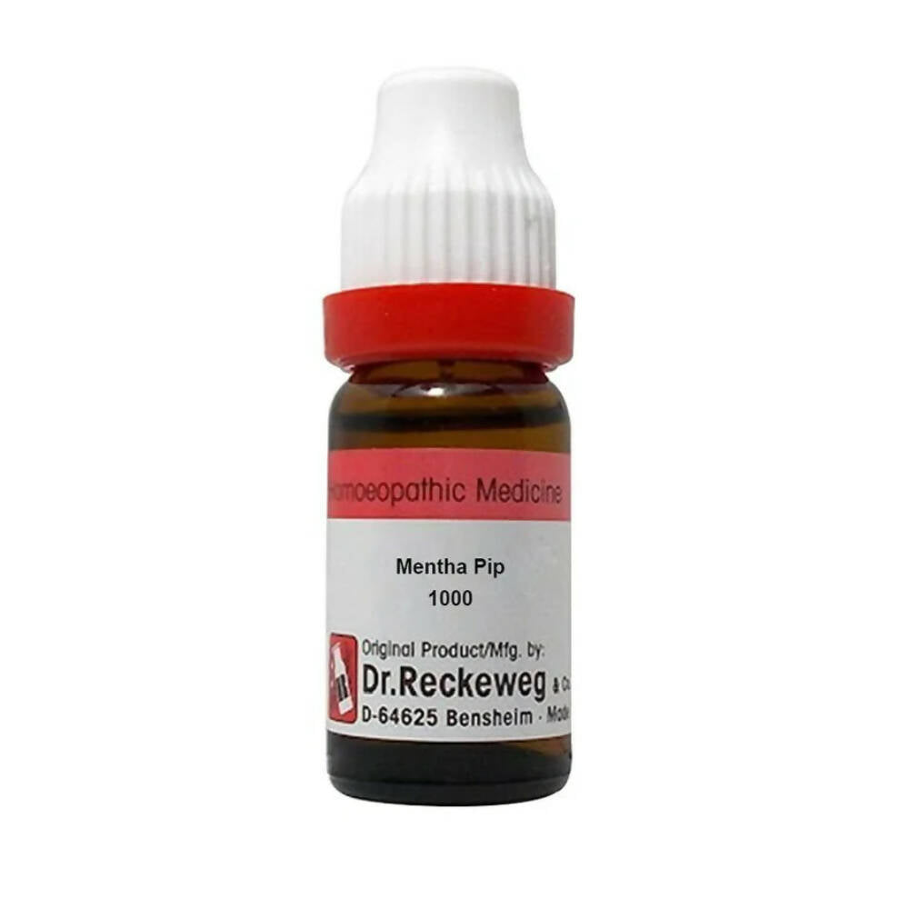 Dr. Reckeweg Mentha Pip Dilution | Grocsy