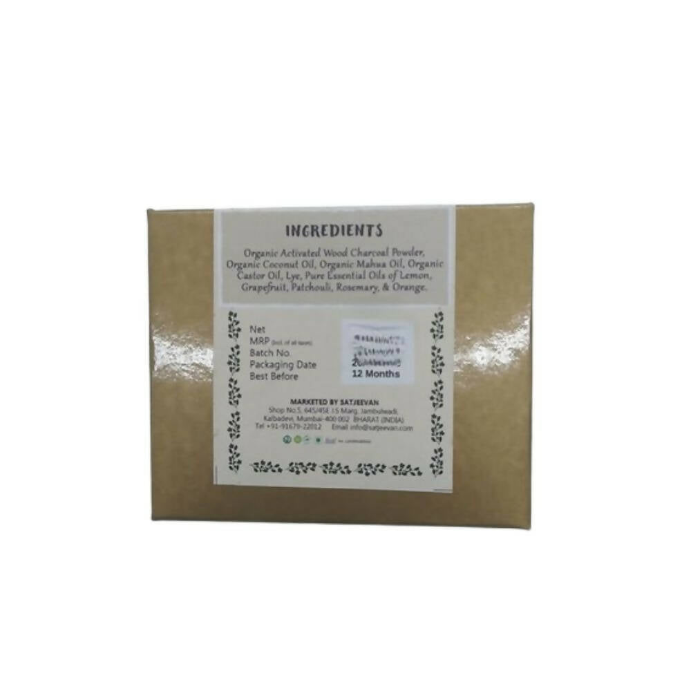 Satjeevan Organic Activated Charcoal Soap | Grocsy