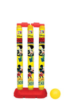 Manaki Enterprise Cricket Set For Kids | Grocsy
