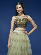 House of Panchhi Lime Green Net Embroideried Round Sequins Lehenga | Grocsy