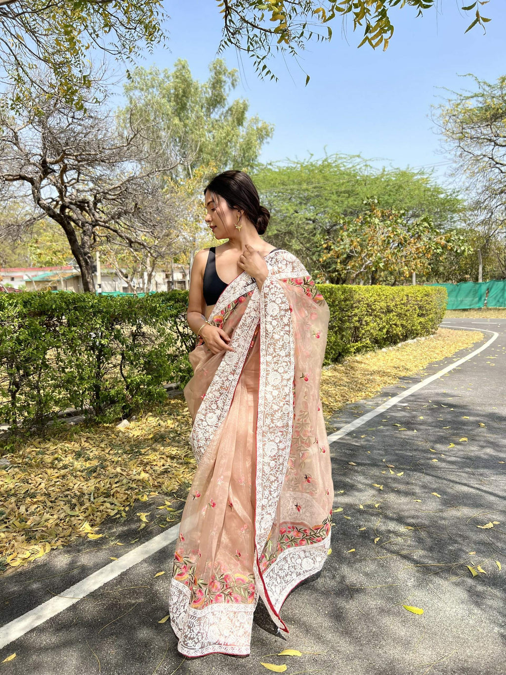 Vamsee Riddhi-Siddhi -1 Brown Organza Saree | Grocsy