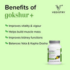 Vedistry Gokshur Tablets | Grocsy