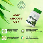 MORING-LEAF-TAB-120-2