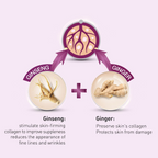 Lotus Herbals Youthrx Anti Ageing Transforming Gel Cream | Grocsy