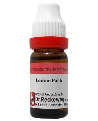 Dr. Reckeweg Ledum Pal Dilution | Grocsy
