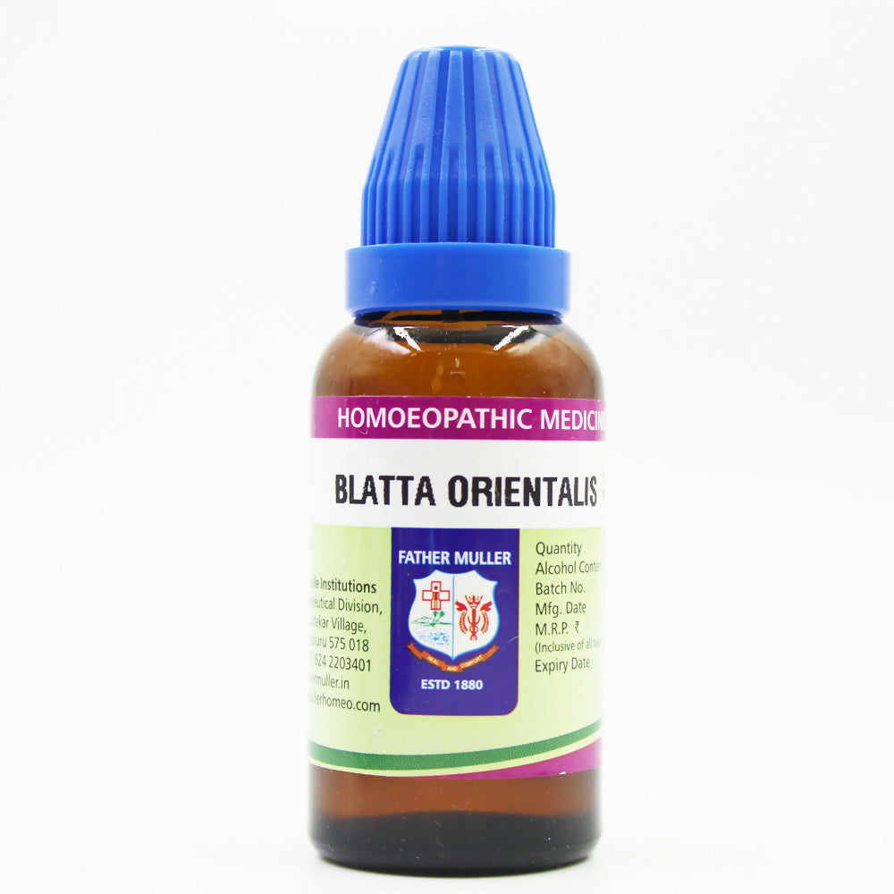 Father Muller Blatta Orientalis Mother Tincture Q | Grocsy