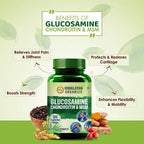 Himalayan Organics Glucosamine Chondroitin & MSM Vegetarian Tablets | Grocsy