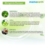 Mamaearth BhringAmla Shampoo For Intense Hair Treatment | Grocsy