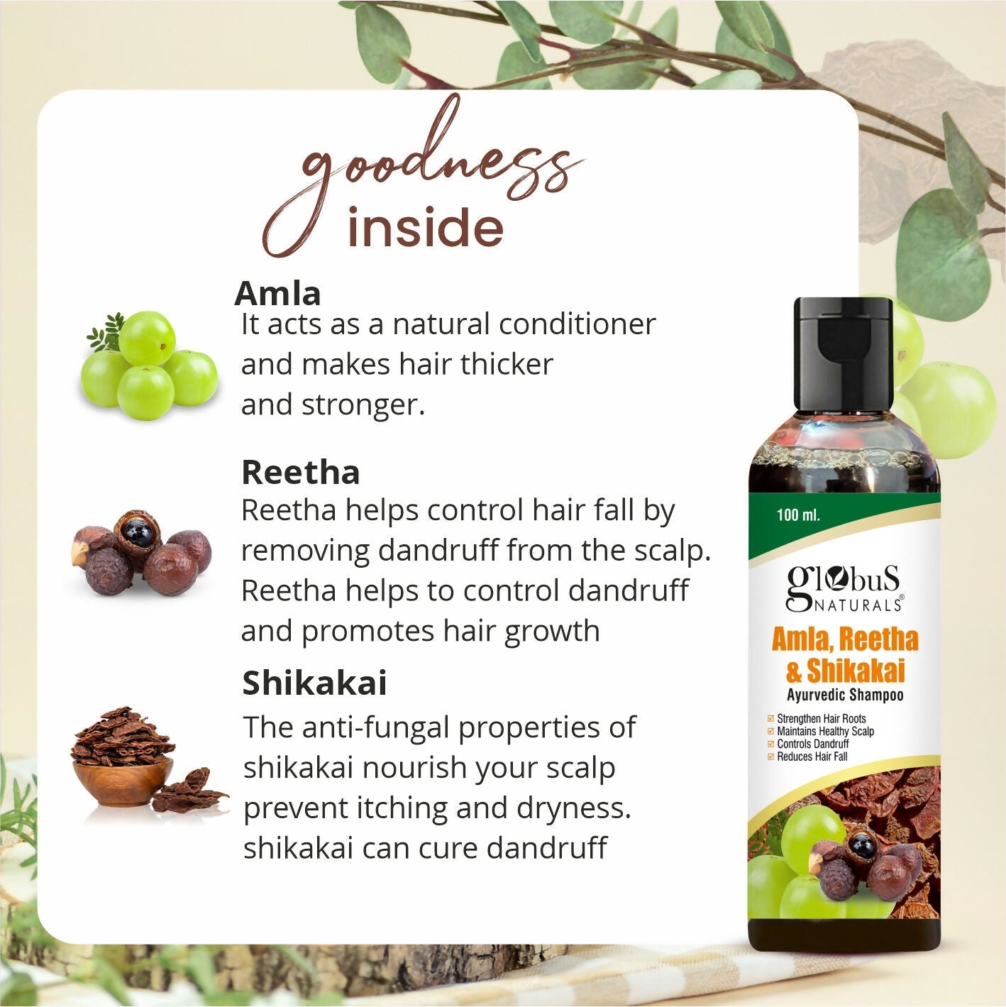 Globus Naturals Amla Reetha Shikakai Shampoo | Grocsy