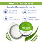 Vaseline Lip Therapy - Aloe | Grocsy