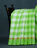 Cream And Neon Green With Checks Pure Mangalgiri Cotton Saree By Gayathri Reddy Designer Studio | Grocsy