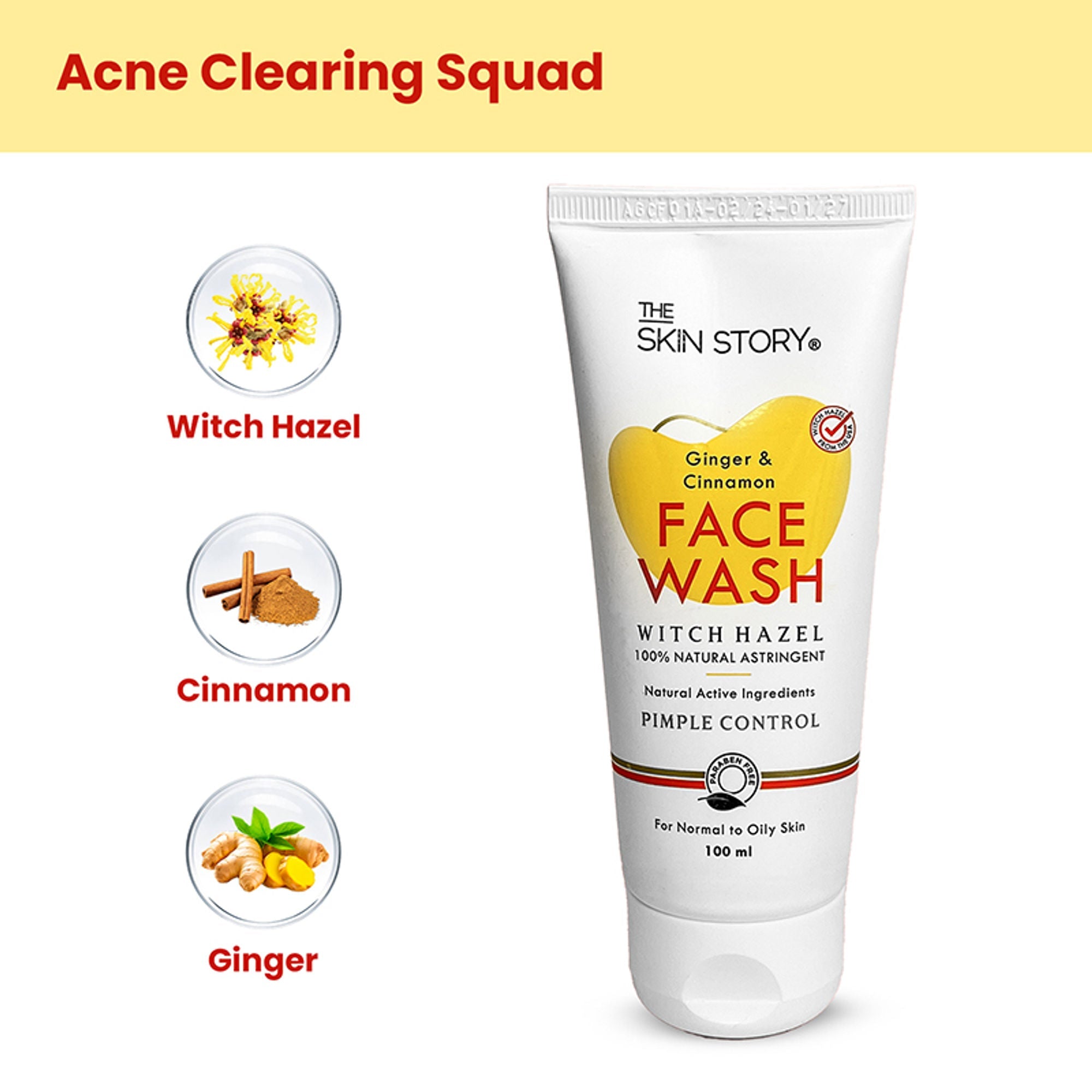 The Skin Story Oil & Pimple Control Ginger Cinnamon Face Wash | Grocsy