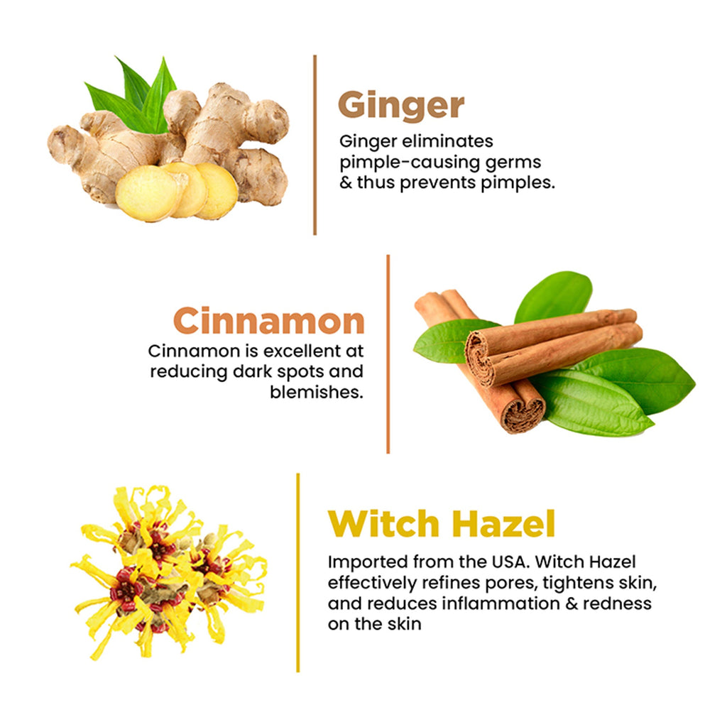The Skin Story Oil & Pimple Control Ginger Cinnamon Face Wash | Grocsy