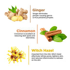The Skin Story Oil & Pimple Control Ginger Cinnamon Face Wash | Grocsy
