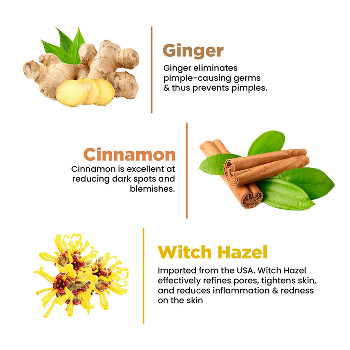 The Skin Story Oil & Pimple Control Ginger Cinnamon Face Wash | Grocsy