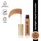 PAC Studio Spotlight Liquid Concealer - 13 Warm Honey | Grocsy