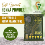 First Plant Premium Rajasthani Henna Powder | Grocsy