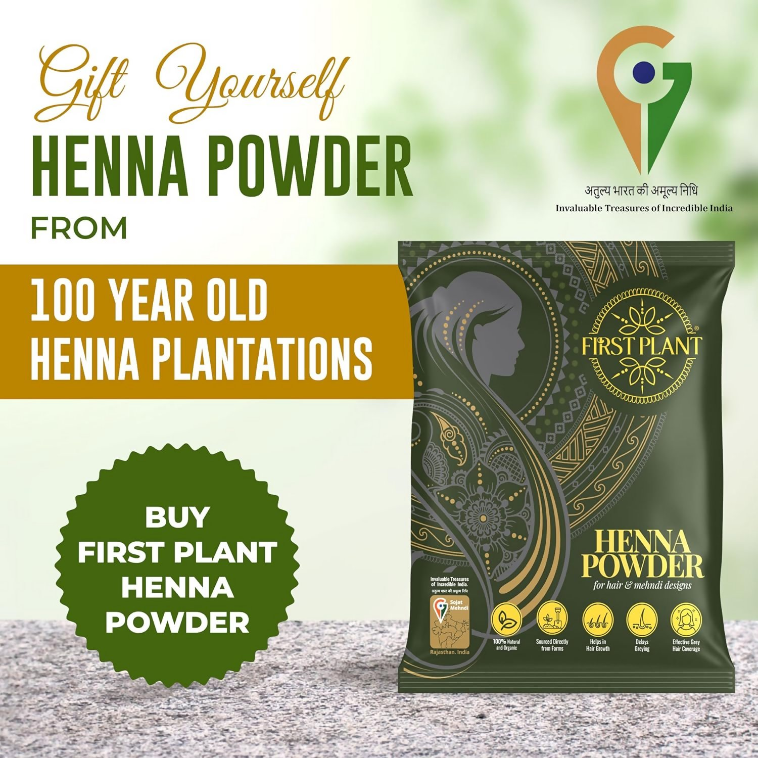 First Plant Premium Rajasthani Henna Powder | Grocsy