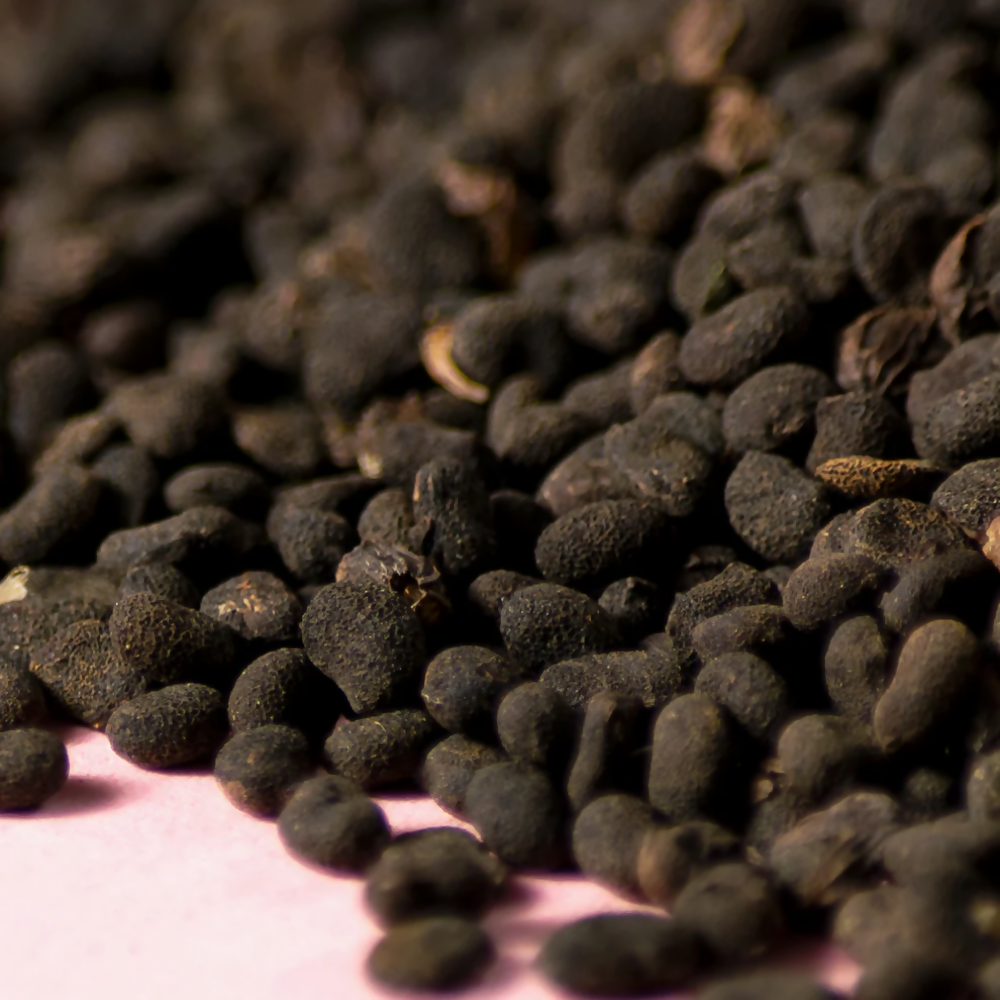 Nxtgen Ayurveda Babchi Seeds | Grocsy