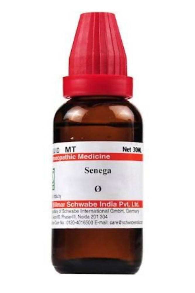 Dr. Willmar Schwabe India Senega Mother Tincture | Grocsy