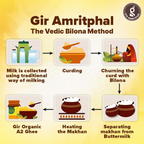 Giramritphal A2 Pure Desi Gir Cow Ghee Vedic Bilona Method | Grocsy