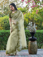 Tikhi Imli Embroidered Organza Saree | Grocsy