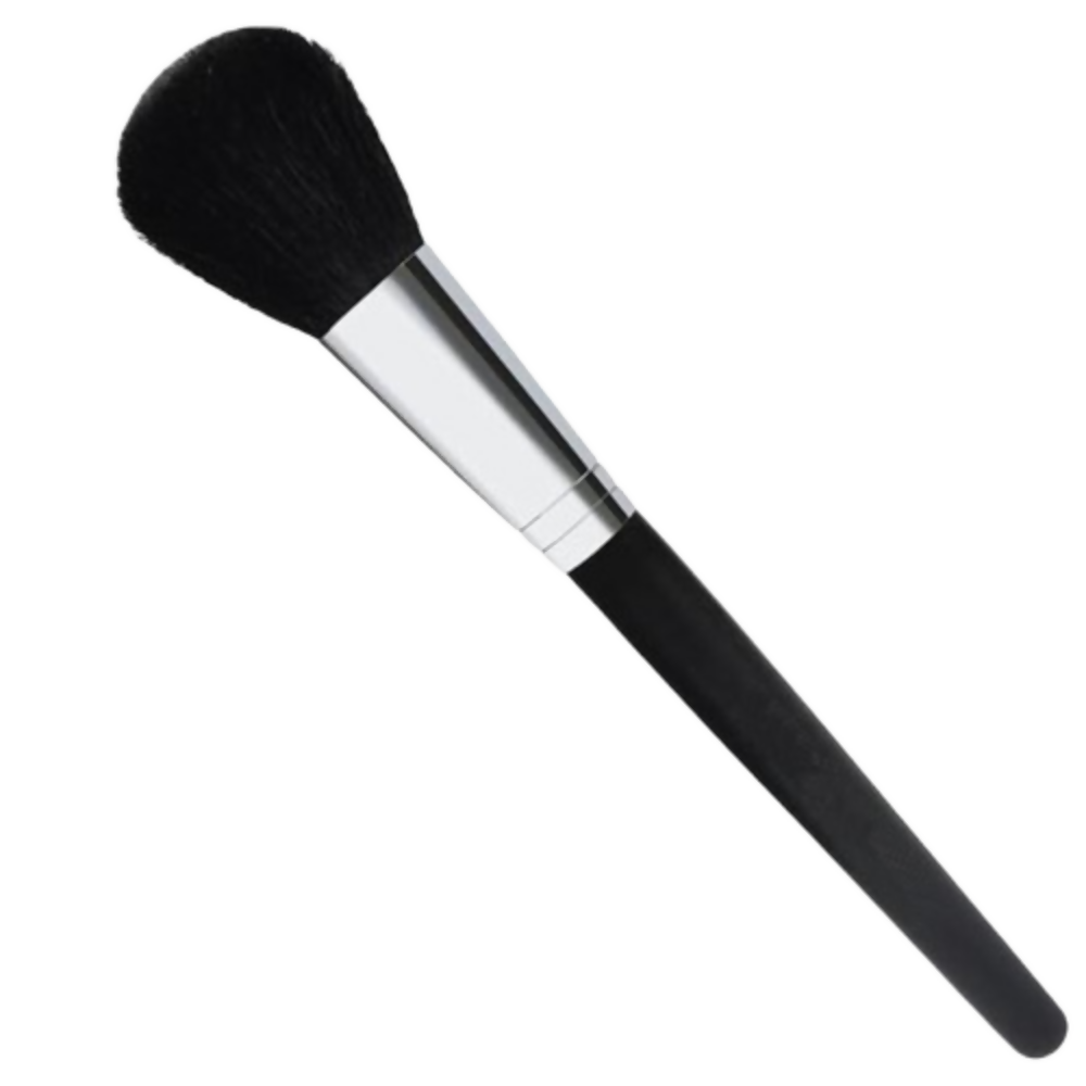 Bronson Professional Blush Brush | Grocsy