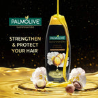 Palmolive Luminous Oil Argan Oil & Camelia Shampoo | Grocsy
