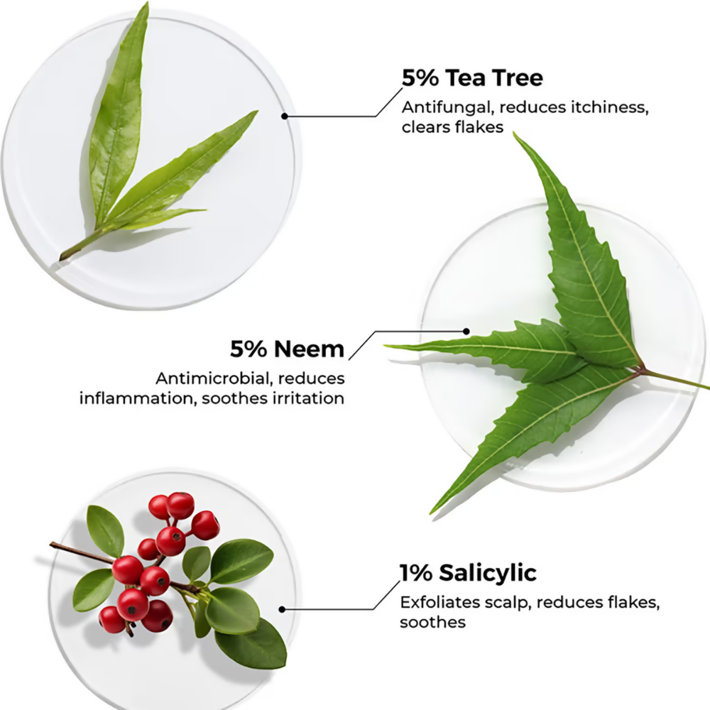Brillare Tea Tree & Salicylic Oil Shots For Dandruff Control | Grocsy