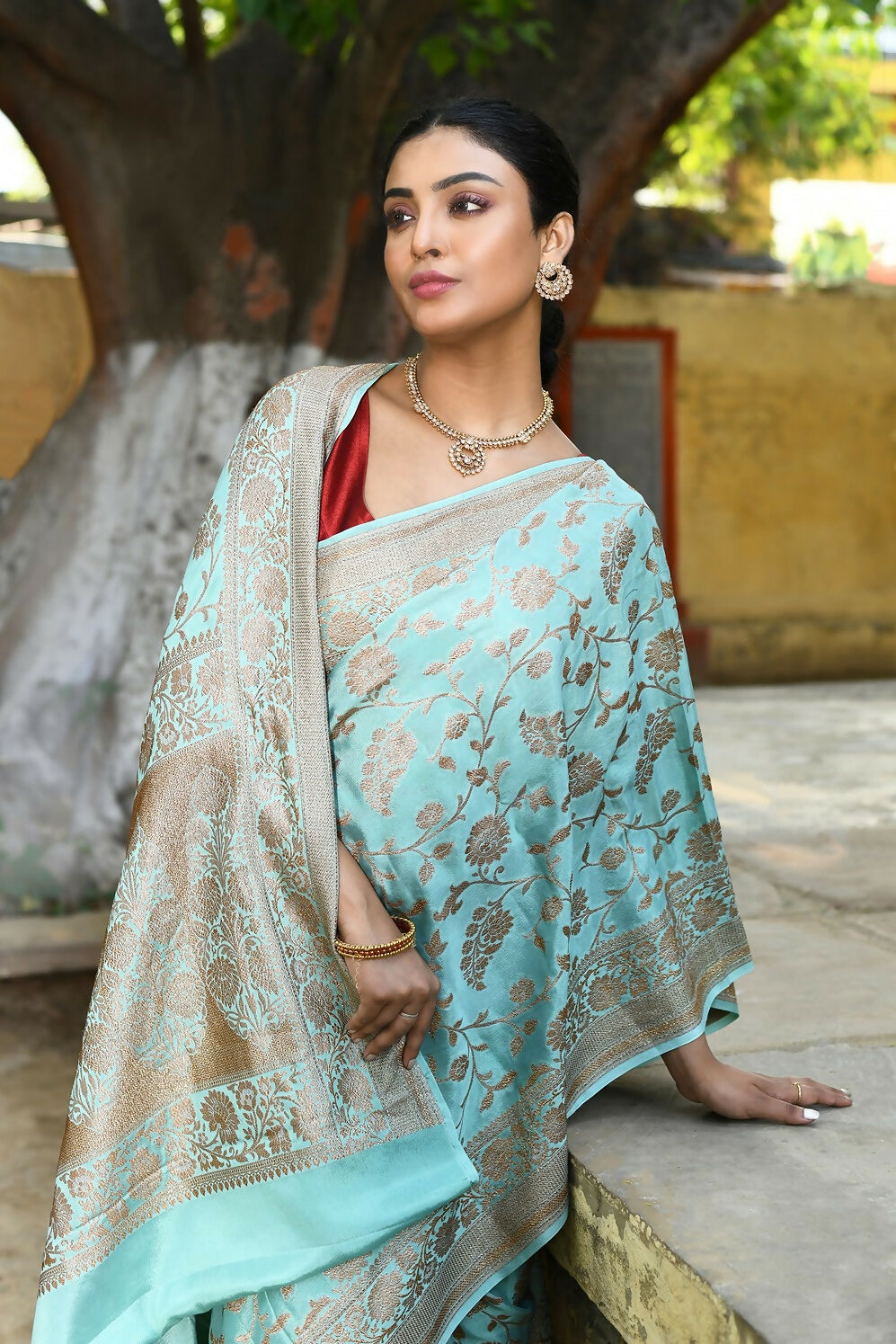 Joban Fashion Aqua Crepe Chiffon Pure Handloom Banarasi Silk Saree | Grocsy