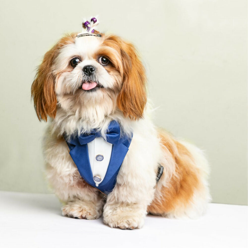 Waggety Tuxedo Dog Harness - Stylish Blue & White Design, Adjustable Fit, Durable Fabric, Elegant Pet Harness for Dogs | Grocsy