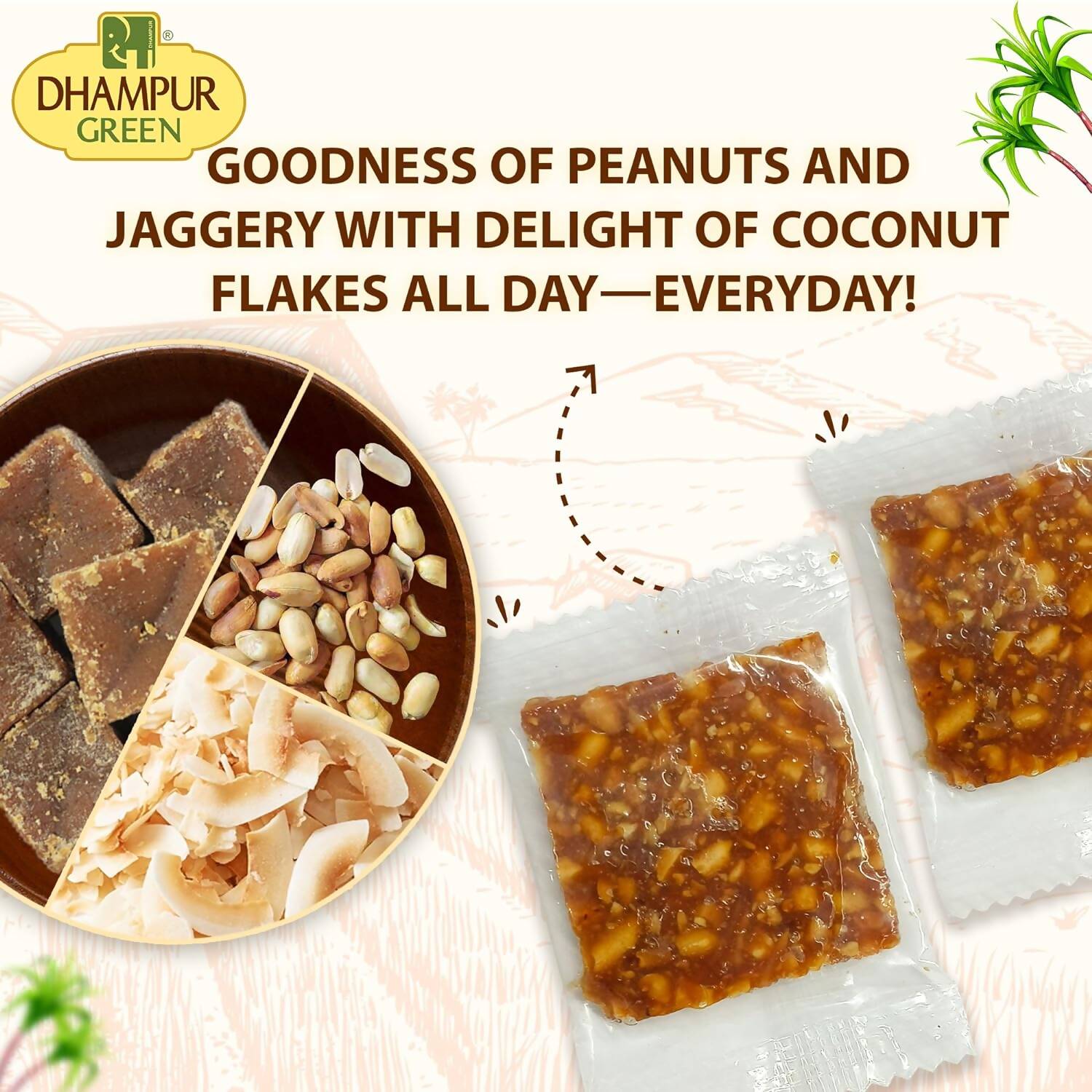 Dhampur Green Coconut Peanut Chikki | Grocsy
