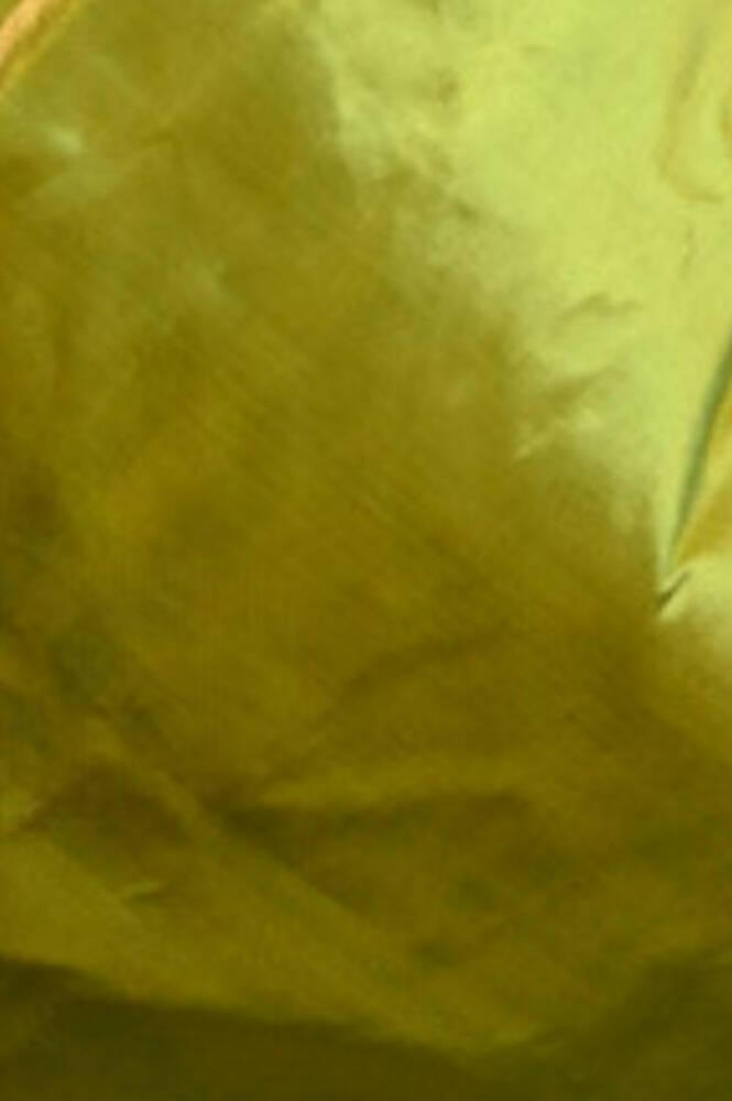 Very Much Indian Premium Handloom Pure Silk Muniya Borde-Parrot Green,Silver Zari And Intricate Big Radha Krishna Pallu | Grocsy