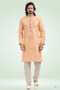 Raivat Ethnic Jacquard Banarasi Silk Pintux Work Kurta Pajama In Peach Colour | Grocsy