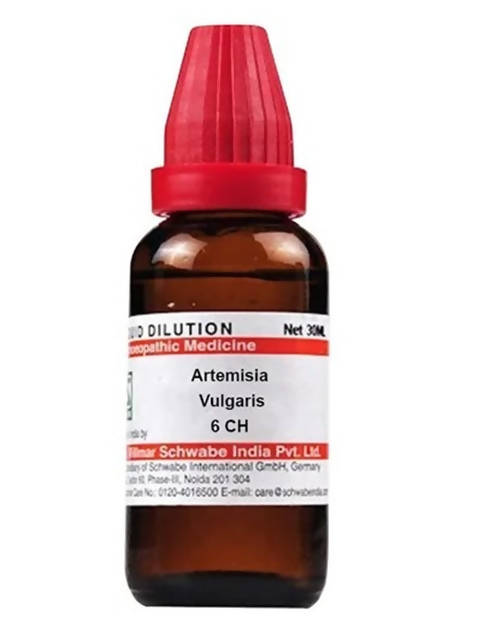 Dr. Willmar Schwabe India Artemisia Vulgaris Dilution | Grocsy