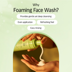 Indulgeo Essentials Sal Cleanse - Salicylic Acid Foaming Face Wash | Grocsy