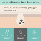 Lotus DermaBotanics Kojic acid + Multi berry Blemish - Free Facewash | Grocsy