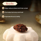 Pujashree Shivling Rudraksh – Divine Rudraksha for Lord Shiva Blessings, Spiritual Growth & Protection | Grocsy