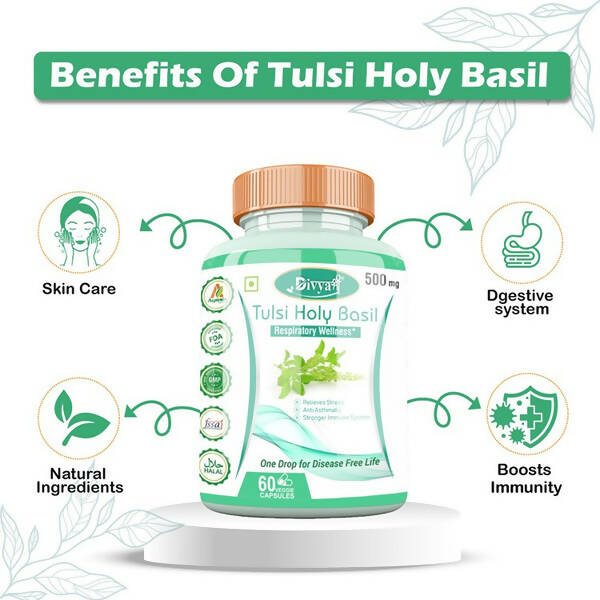 Divya Shree Tulsi Holy Basil Veggie Capsules | Grocsy
