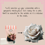 Confect White | Edible Gum paste | Grocsy