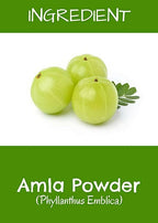 MR Ayurveda Amla Fruit Powder | Grocsy