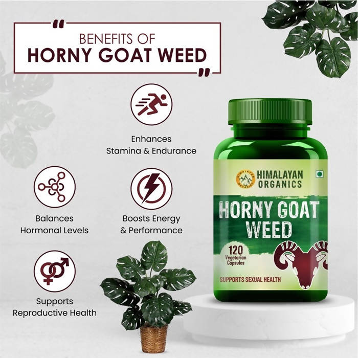 Himalayan Organics Horny Goat Weed Vegetarian Capsules | Grocsy