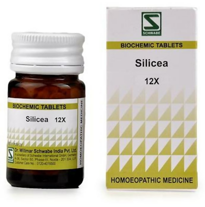 Dr. Willmar Schwabe India Silicea Biochemic Tablets | Grocsy