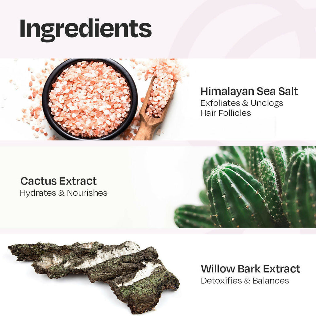 Manetain Scalp Scrub for Oily & Greasy Scalp & Hair | Grocsy