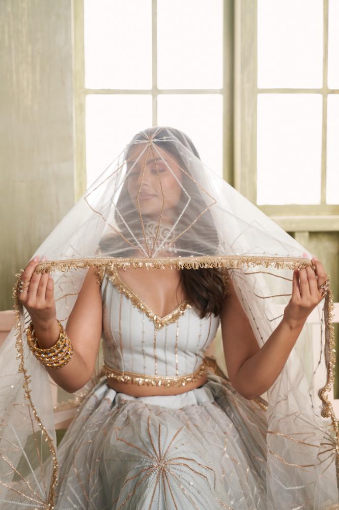 Aastha Fashion Light Gray Butterfly Net Tone To Tone Cotton Thread Work And Sequence Work Embroidery Wedding Wear Lehenga Choli | Grocsy