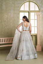 Aastha Fashion Light Gray Butterfly Net Tone To Tone Cotton Thread Work And Sequence Work Embroidery Wedding Wear Lehenga Choli | Grocsy